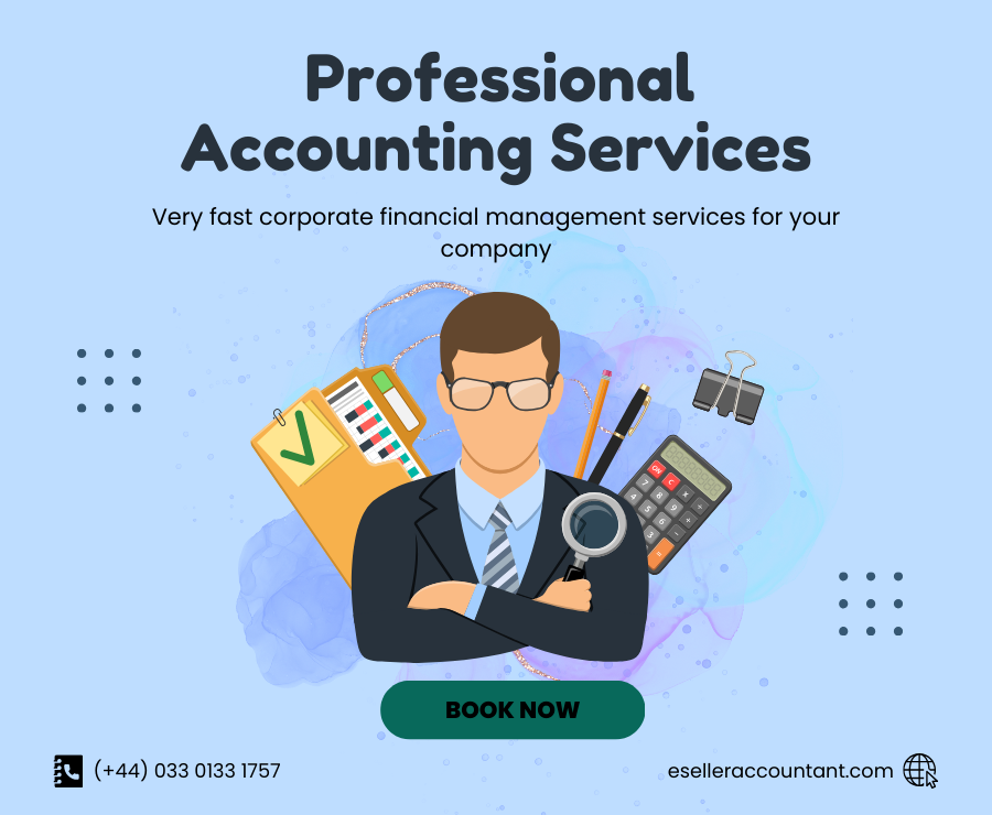 Why Businesses Prefer Eseller Accountant for Cloud Accounting, Professional Accounting Service, Professional Accounting Service, Accountancy firms in uk 